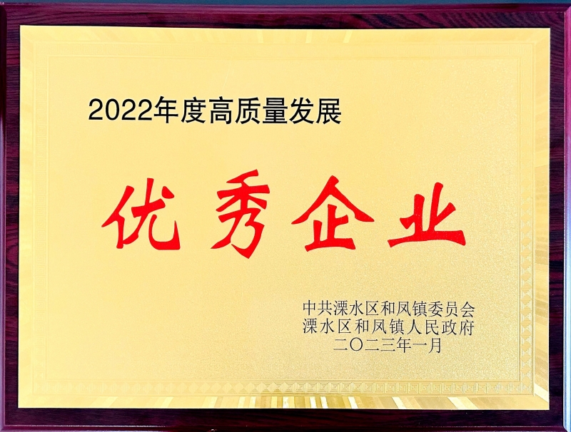 南京思特通榮獲2022年和鳳鎮(zhèn)高質(zhì)量發(fā)展優(yōu) 秀企業(yè)